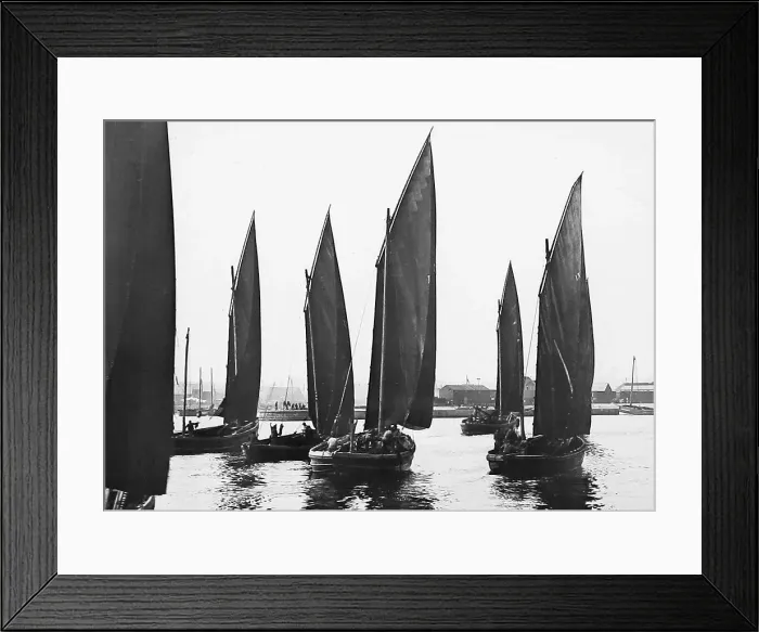 Framed Print : Aberdeen herring fleet Victorian period Framed Print : Aberdeen herring fleet Victorian period