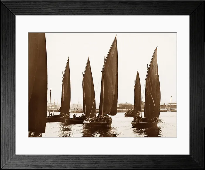Framed Print : Herring fishing boats, Aberdeen Framed Print : Herring fishing boats, Aberdeen