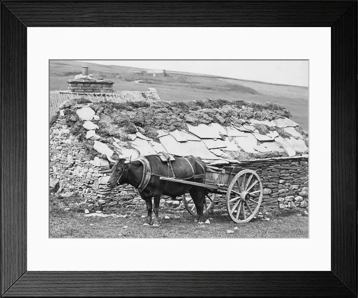 Framed Print : A Highland Croft Victorian period Framed Print : A Highland Croft Victorian period