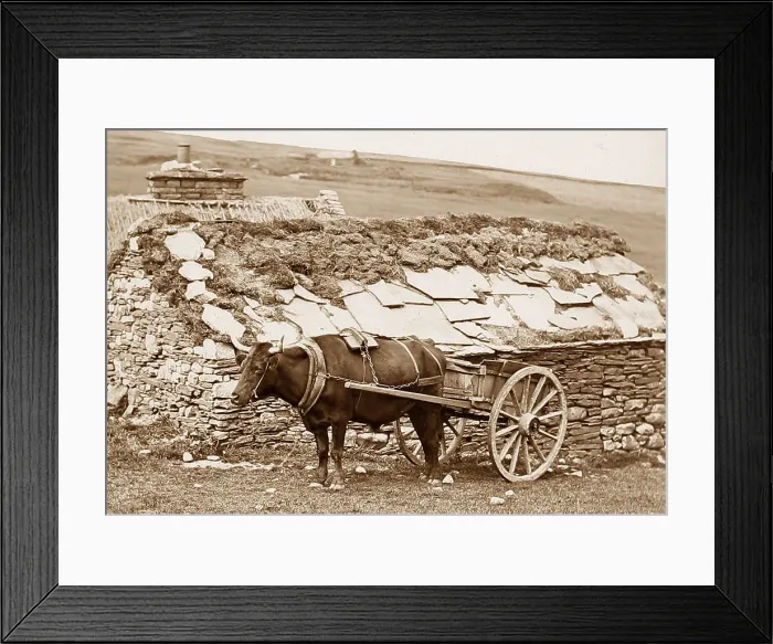 Framed Print : Highland Croft, Scotland Framed Print : Highland Croft, Scotland