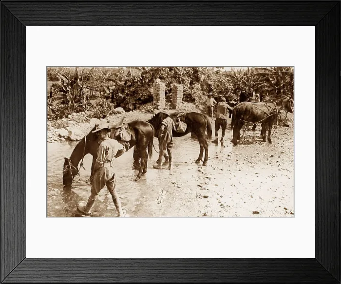 Framed Print : Australian troops watering their horses during WW1 Framed Print : Australian troops watering their horses during WW1