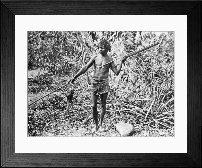 Framed Print : Aborigine throwing spear with a womerah Australia Framed Print : Aborigine throwing spear with a womerah Australia