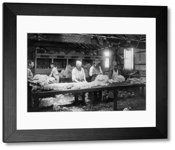 Framed Print : Australia Wool grading shed Victorian period Framed Print : Australia Wool grading shed Victorian period