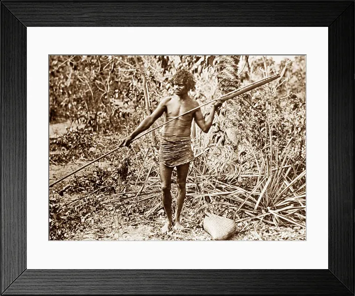 Framed Print : Aborigine throwing spear with a womerah Australia Framed Print : Aborigine throwing spear with a womerah Australia