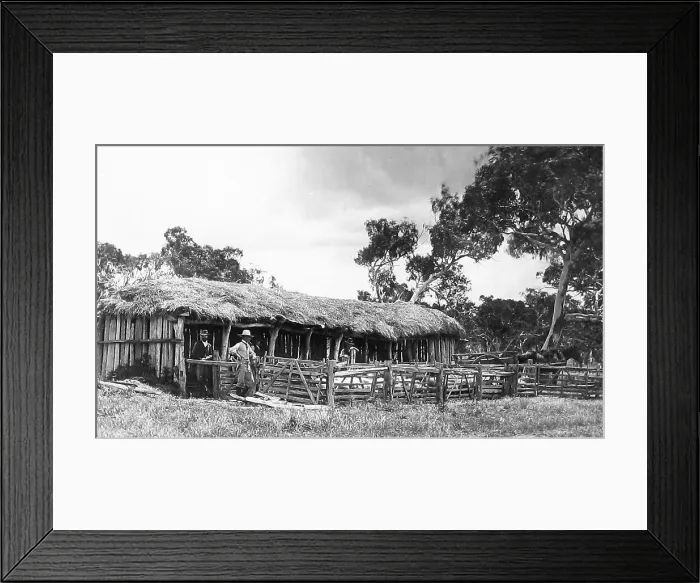 Framed Print : Australia Settlers wool shed Victorian period Framed Print : Australia Settlers wool shed Victorian period