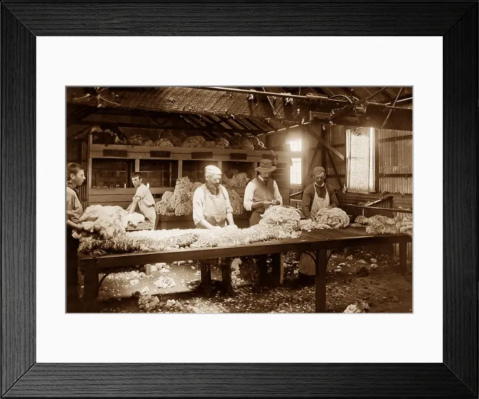 Framed Print : Australia Wool grading shed Victorian period Framed Print : Australia Wool grading shed Victorian period