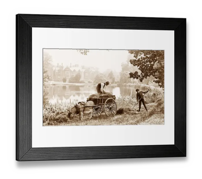 Framed Print : Haymaking on the banks of the River Thames Framed Print : Haymaking on the banks of the River Thames