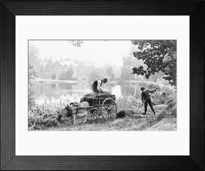 Framed Print : Haymaking - rural idyll - Victorian period Framed Print : Haymaking - rural idyll - Victorian period