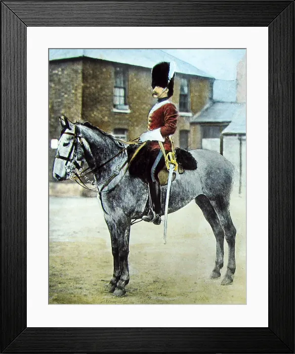 Framed Print : Sergeant Major in the 2nd Dragoon Guards Victorian period Framed Print : Sergeant Major in the 2nd Dragoon Guards Victorian period
