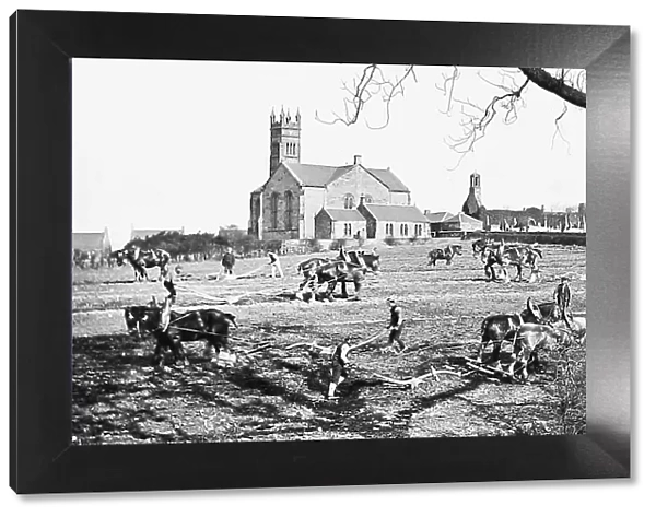 Farming - Ploughing Match - Victorian period