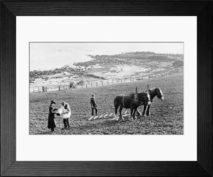 Framed Print : Isle of Arran - Sowing Corn - Victorian period Framed Print : Isle of Arran - Sowing Corn - Victorian period