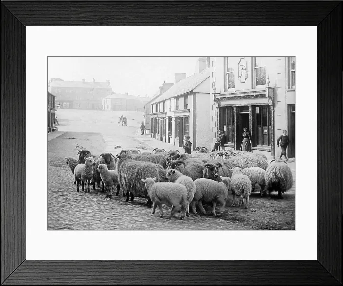 Framed Print : Ballyclare early 1900s Framed Print : Ballyclare early 1900s