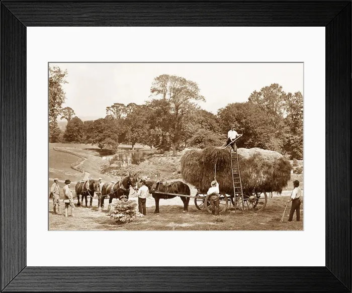 Framed Print : Haymaking Framed Print : Haymaking
