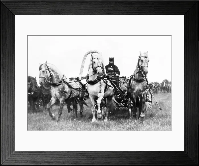 Framed Print : Troika of the Russia Tzar Framed Print : Troika of the Russia Tzar