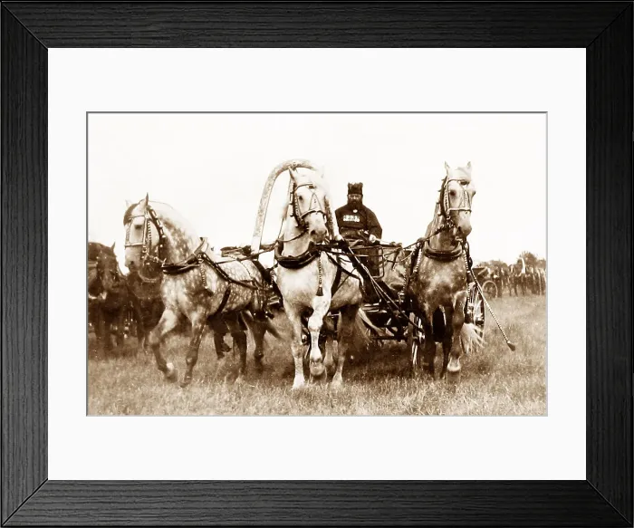 Framed Print : Russia The Tzar's Troika pre-1900 Framed Print : Russia The Tzar's Troika pre-1900