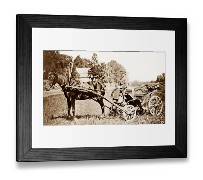 Framed Print : A Russian Drosky pre-1900 Framed Print : A Russian Drosky pre-1900