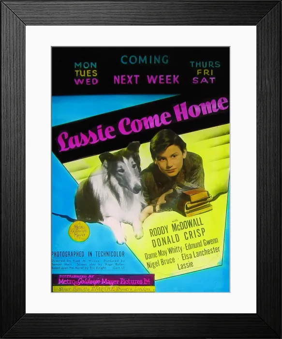 Framed Print : Lassie Come Home cinema projection slide 1943 Framed Print : Lassie Come Home cinema projection slide 1943