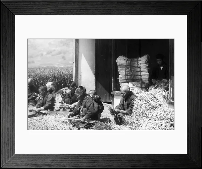 Framed Print : Japan - arranging straw early 1900s Framed Print : Japan - arranging straw early 1900s
