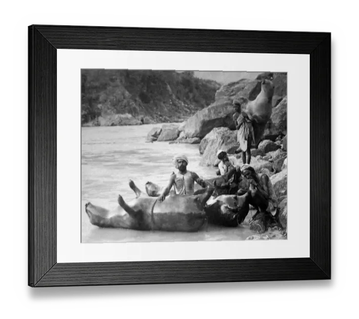 Framed Print : India - Bullock-skin boats - River Sutlej early 1900s Framed Print : India - Bullock-skin boats - River Sutlej early 1900s