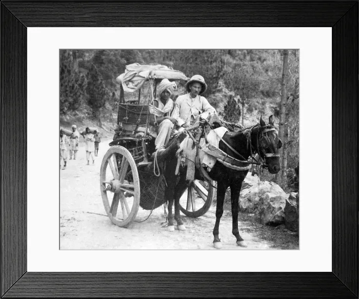 Framed Print : India - Cashmere - an Ekka - early 1900s Framed Print : India - Cashmere - an Ekka - early 1900s