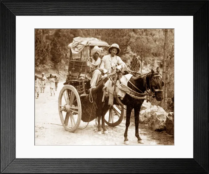 Framed Print : India - Cashmere - an Ekka - early 1900s Framed Print : India - Cashmere - an Ekka - early 1900s