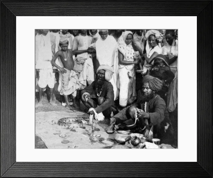 Framed Print : India - Calcutta snake charmers early 1900s Framed Print : India - Calcutta snake charmers early 1900s
