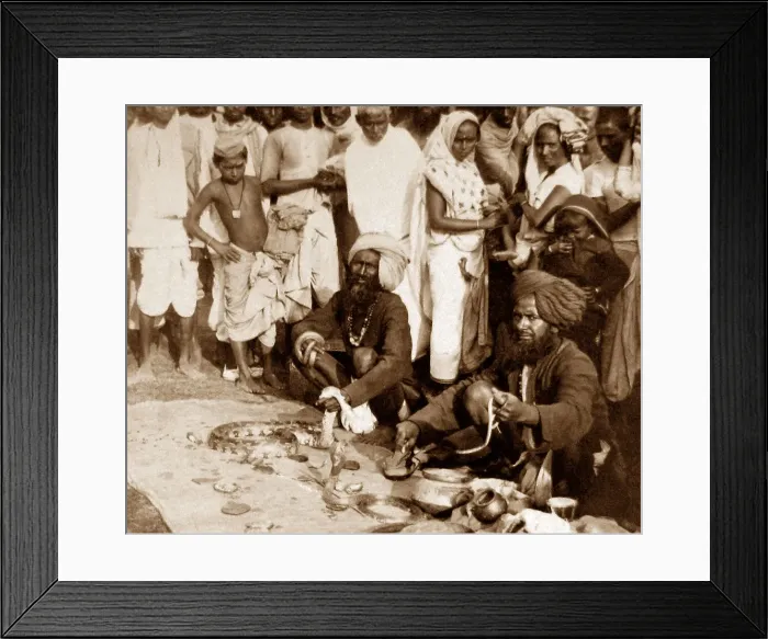 Framed Print : India - Calcutta snake charmers early 1900s Framed Print : India - Calcutta snake charmers early 1900s