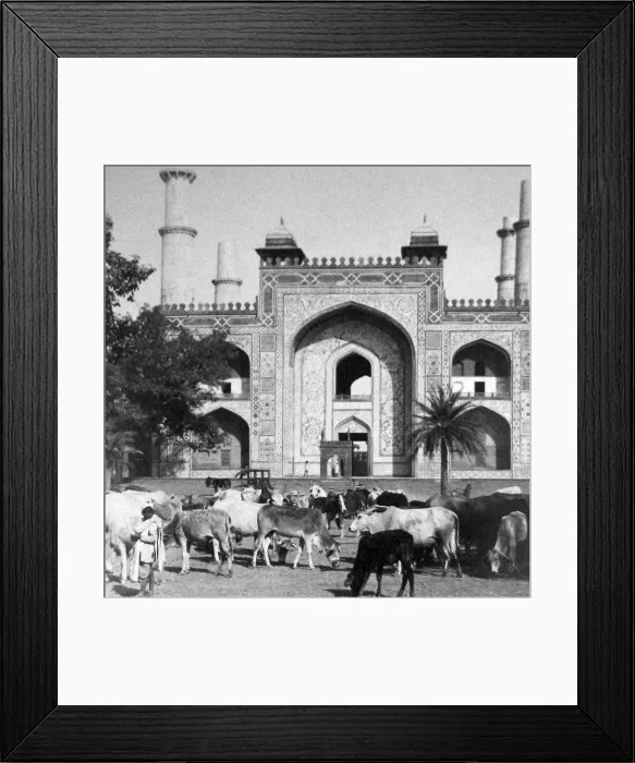 Framed Print : India - Sikandra Agra Tomb of Akbar the Great early 1900s Framed Print : India - Sikandra Agra Tomb of Akbar the Great early 1900s
