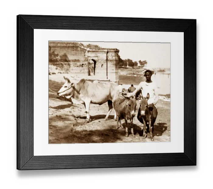 Framed Print : India - Cawnpore early 1900s Framed Print : India - Cawnpore early 1900s