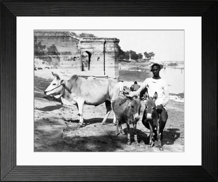Framed Print : India - Cawnpore early 1900s Framed Print : India - Cawnpore early 1900s