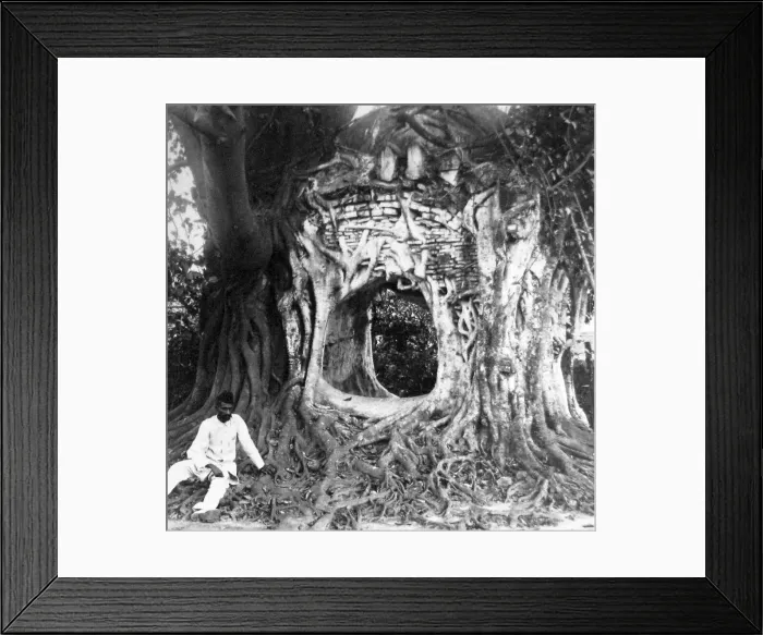 Framed Print : India - a tree Mosque near Calcutta early 1900s Framed Print : India - a tree Mosque near Calcutta early 1900s