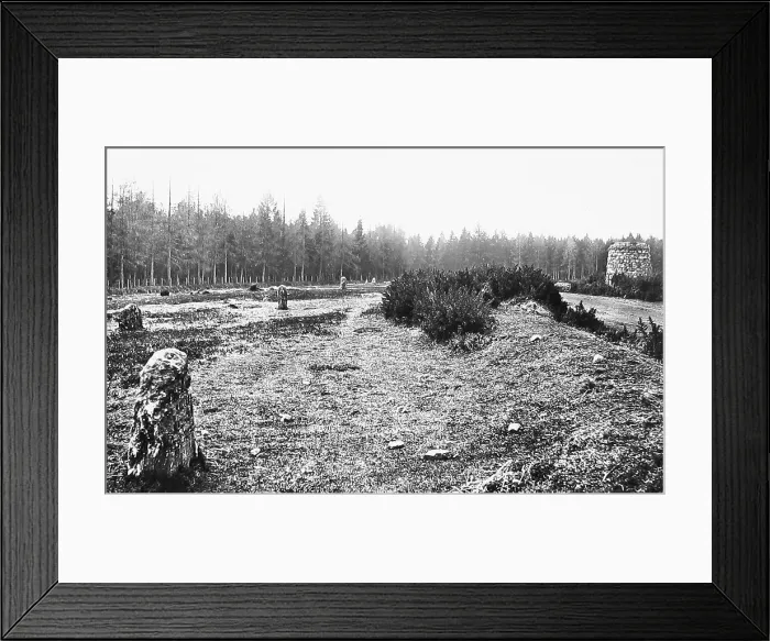 Framed Print : Culloden Moor, Scotland Framed Print : Culloden Moor, Scotland
