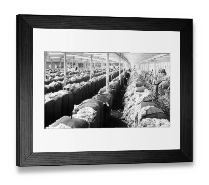 Framed Print : Wool showroom, Sydney, Australia Framed Print : Wool showroom, Sydney, Australia
