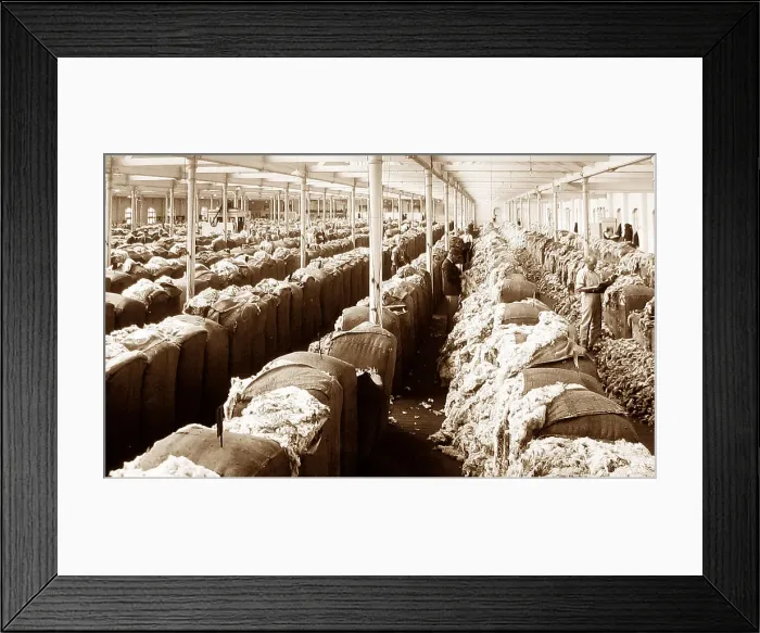 Framed Print : Wool showroom Sydney Australia New South Wales Framed Print : Wool showroom Sydney Australia New South Wales
