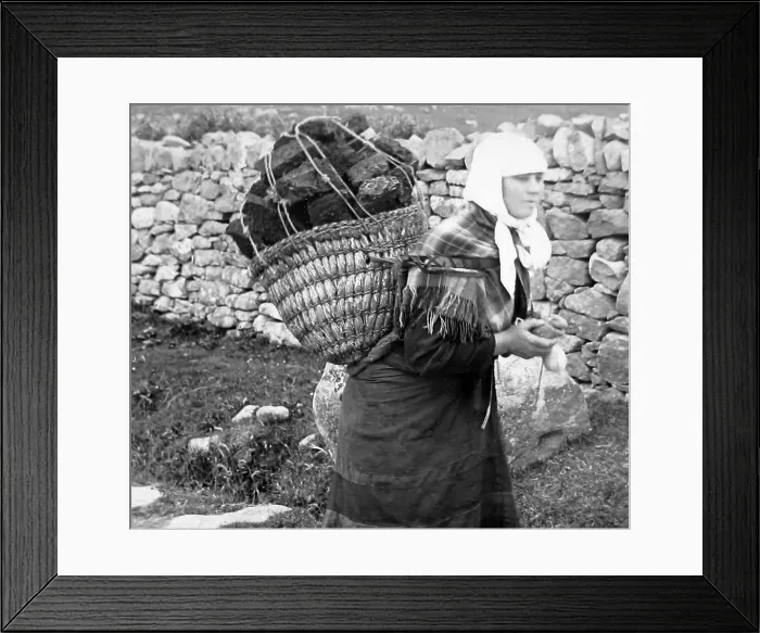 Framed Print : Shetland girl carrying peat Framed Print : Shetland girl carrying peat