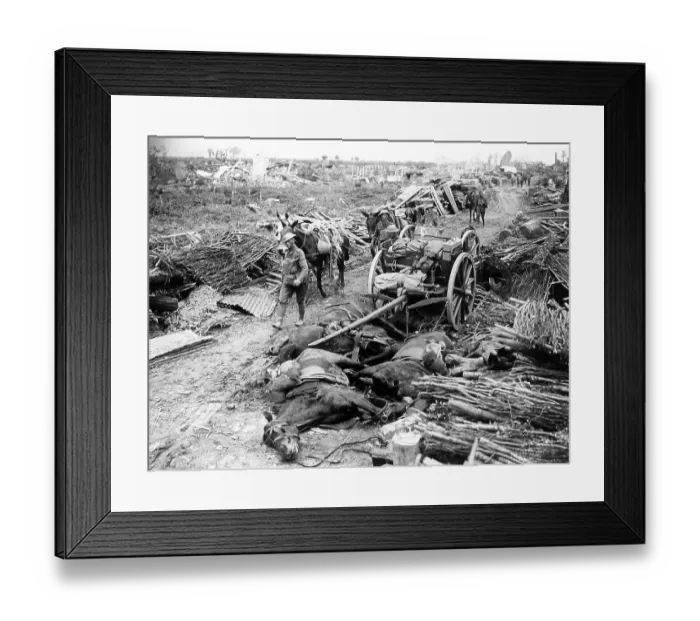 Framed Print : Pilckem Ridge Battlefield Ypres Belgium 31st July 1917 WW1 Framed Print : Pilckem Ridge Battlefield Ypres Belgium 31st July 1917 WW1