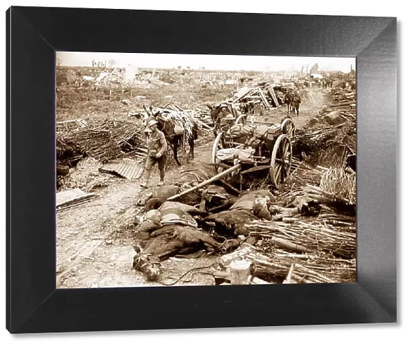 Battle of Pilckem Ridge at St Jean, 31st July 1917