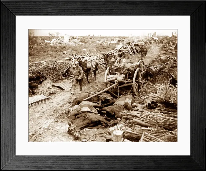 Framed Print : Battle of Pilckem Ridge at St Jean, 31st July 1917 Framed Print : Battle of Pilckem Ridge at St Jean, 31st July 1917