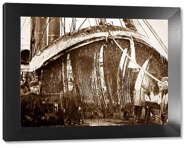 On board a whaling ship near Greenland - Victorian period