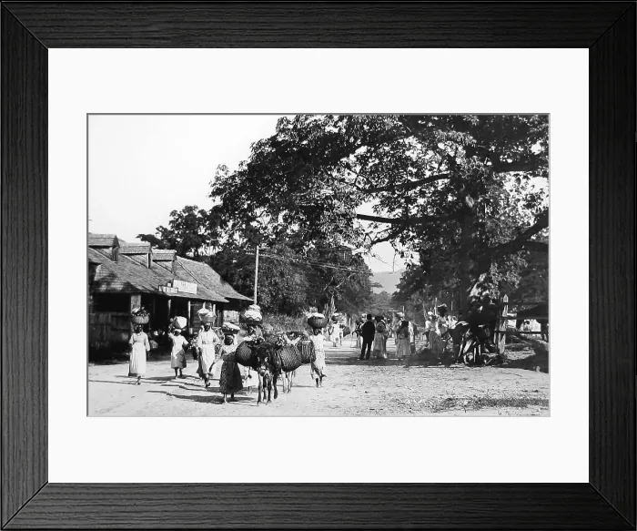 Framed Print : The Half-Way Tree, Kingston, Jamaica - Victorian period Framed Print : The Half-Way Tree, Kingston, Jamaica - Victorian period