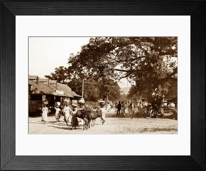 Framed Print : The Half-Way Tree, Kingston, Jamaica Framed Print : The Half-Way Tree, Kingston, Jamaica