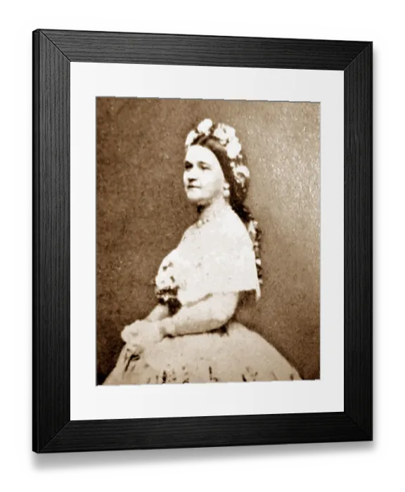 Framed Print : Mary Todd Framed Print : Mary Todd