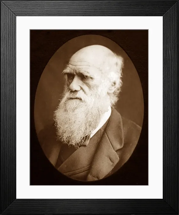 Framed Print : Charles Darwin Framed Print : Charles Darwin