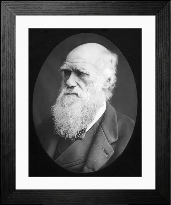 Framed Print : Charles Darwin - Victorian period Framed Print : Charles Darwin - Victorian period