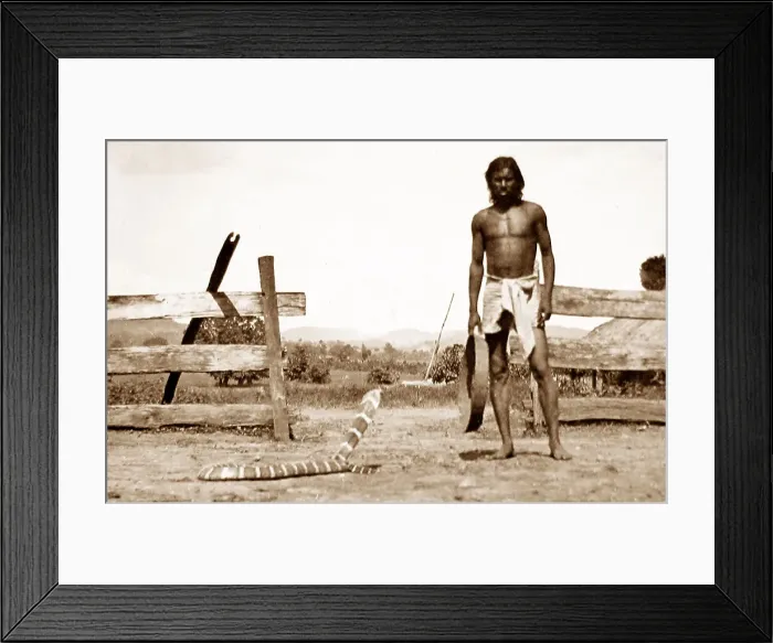 Framed Print : Snake charmer, India Framed Print : Snake charmer, India