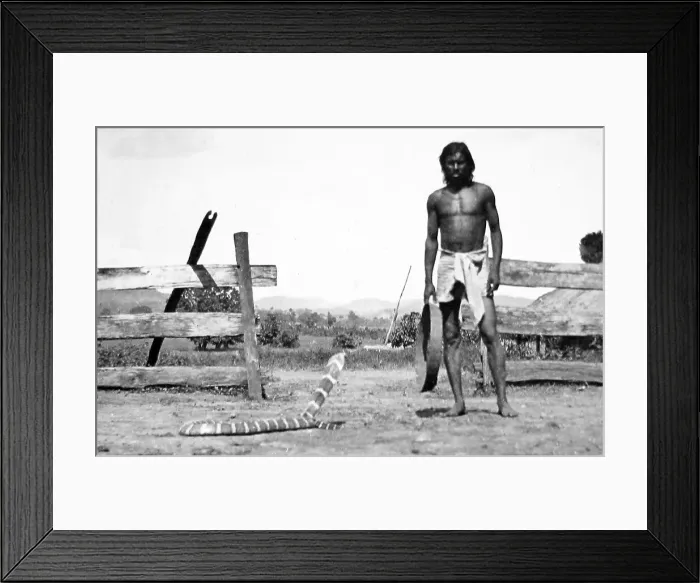 Framed Print : Snake Charmer in India - Victorian period Framed Print : Snake Charmer in India - Victorian period