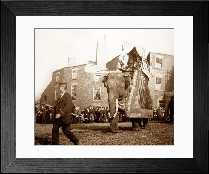 Framed Print : Barnum's Circus, probably Liverpool, Victorian period Framed Print : Barnum's Circus, probably Liverpool, Victorian period