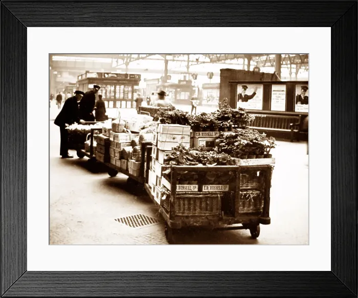 Framed Print : Waterloo Railway Station, London Framed Print : Waterloo Railway Station, London