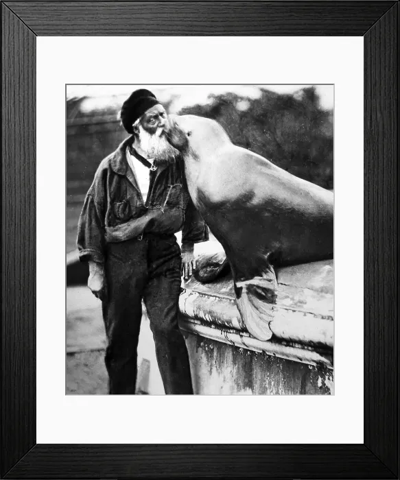Framed Print : Hand coloured photo, zoo keeper with sea lion Framed Print : Hand coloured photo, zoo keeper with sea lion