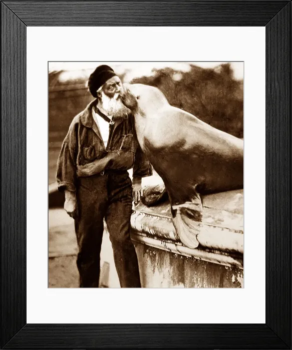 Framed Print : Sea lion and zoo keeper Framed Print : Sea lion and zoo keeper
